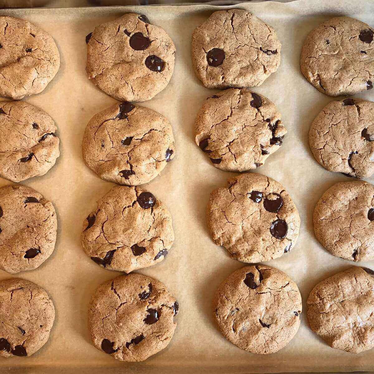 Freshly baked cookies on a baking tray.