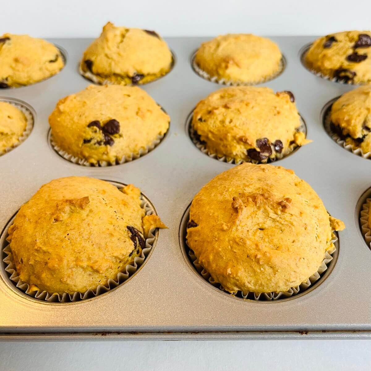 Muffins cooling in a baking pan.