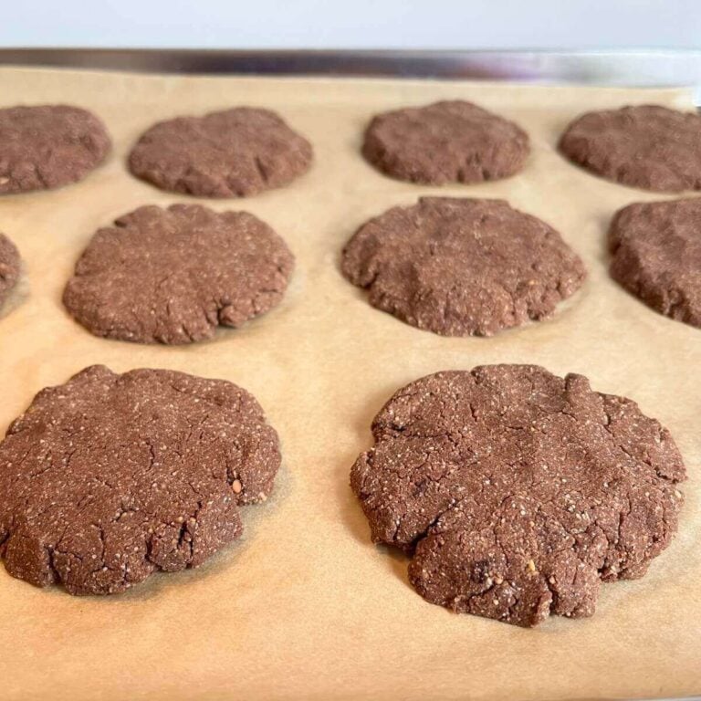 Easy Homemade Monk Fruit Cookies A Sweet Alternative