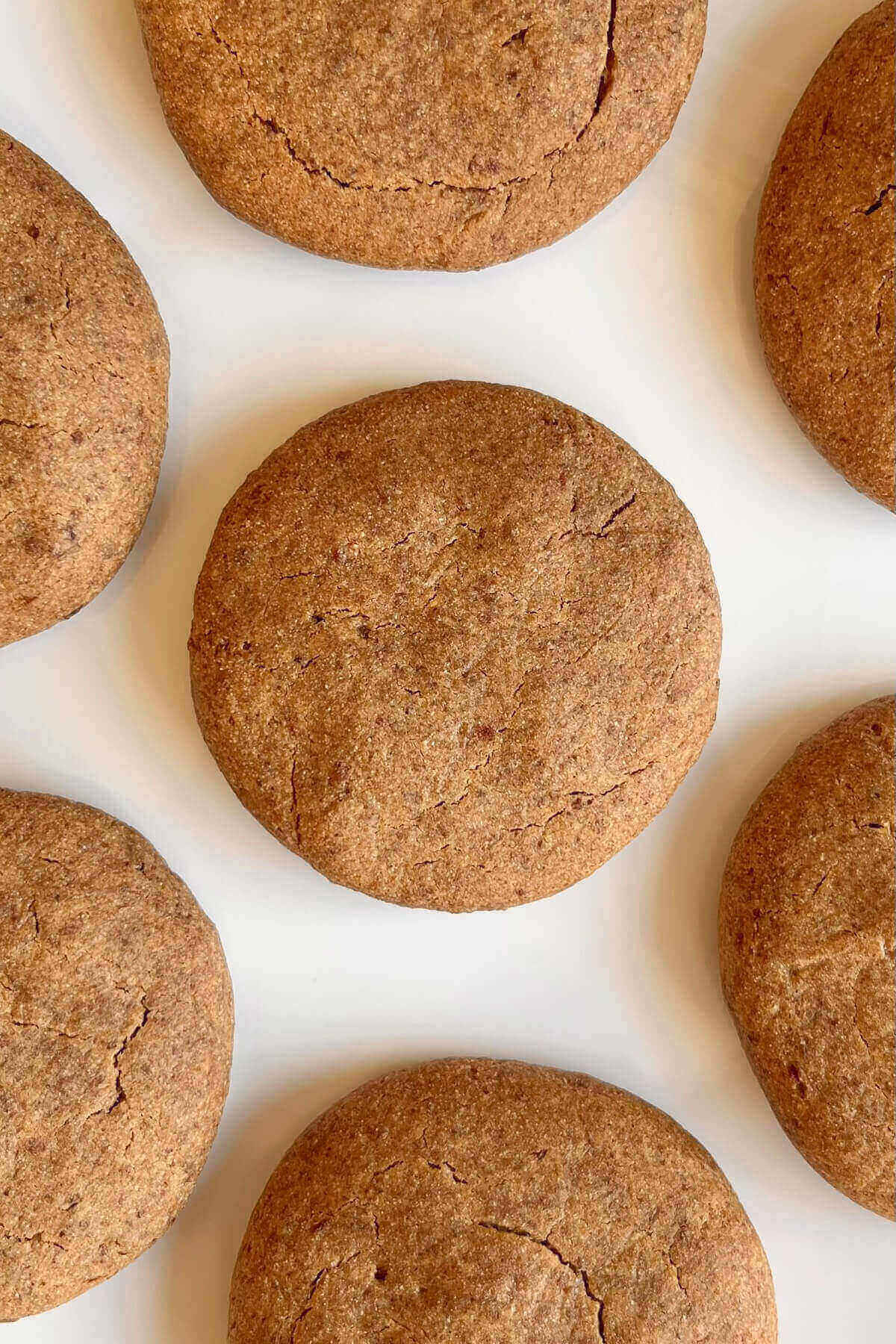 Beige cookies spaced evenly on a white plate.