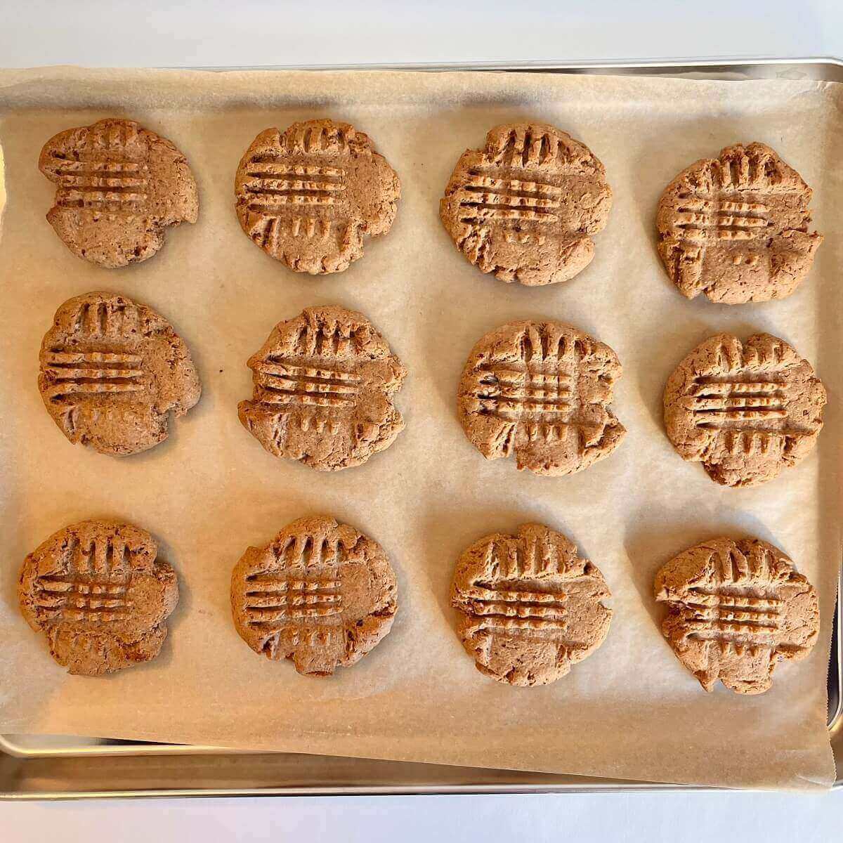 Freshly baked peanut butter cookies on a sheet pan lined with parchment paper.