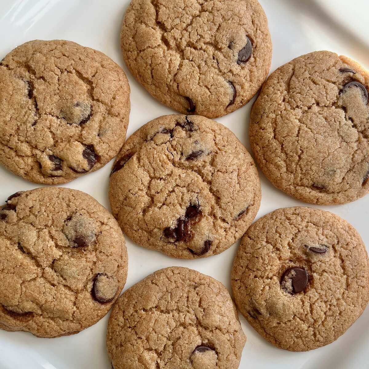 Seven vegan coconut oil cookies on a white plate.