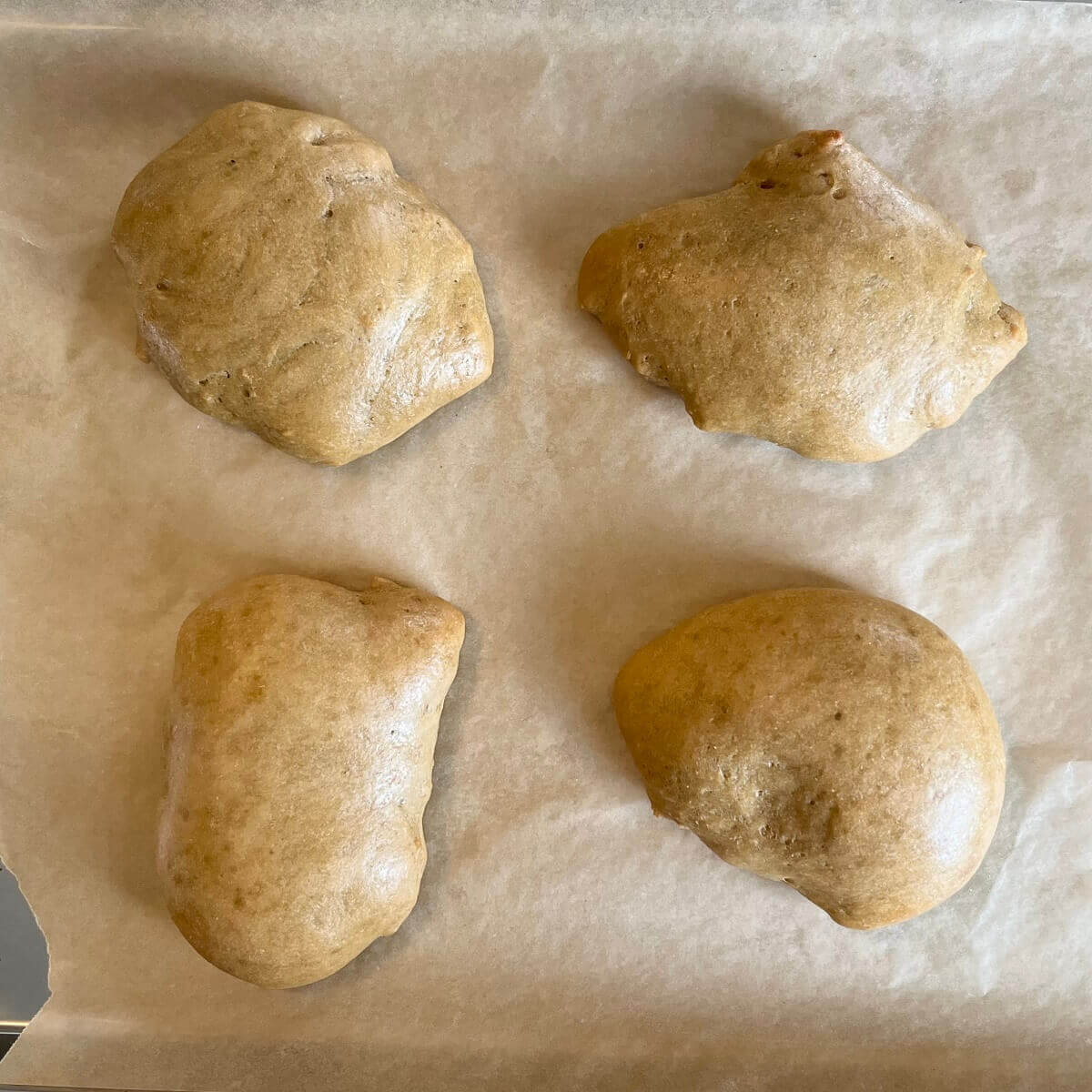 Four pieces of vegan baked chicken on a sheet pan.