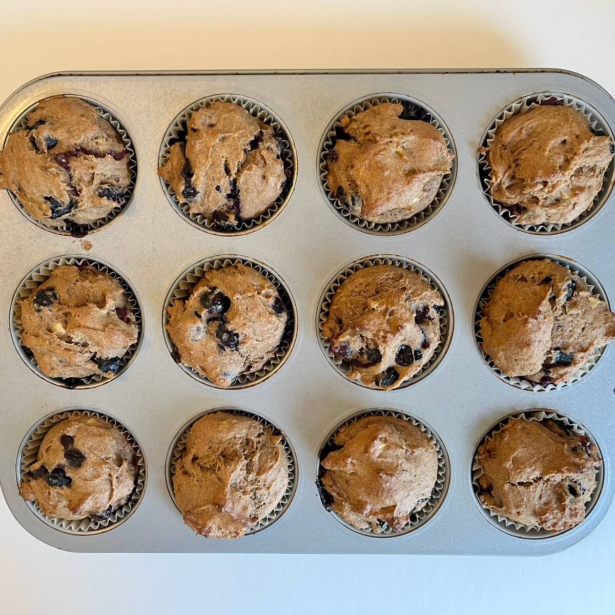 Freshly baked blueberry muffins in a metal pan.