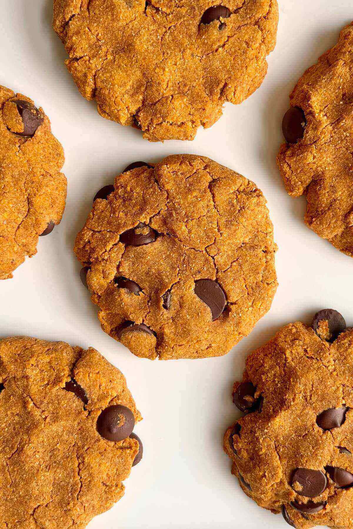 Coconut flour pumpkin cookies on a white plate.