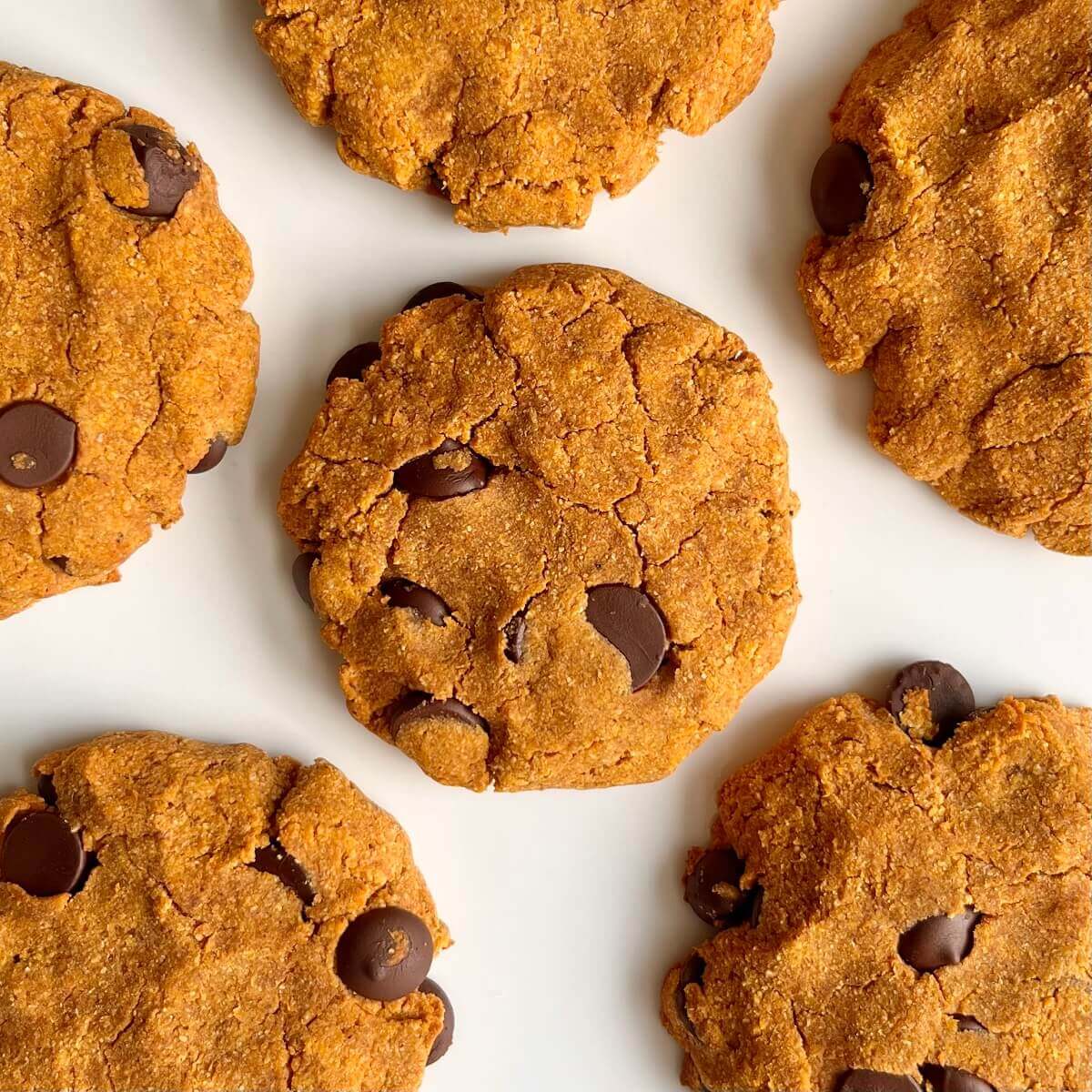 Pumpkin cookies on a white plate.