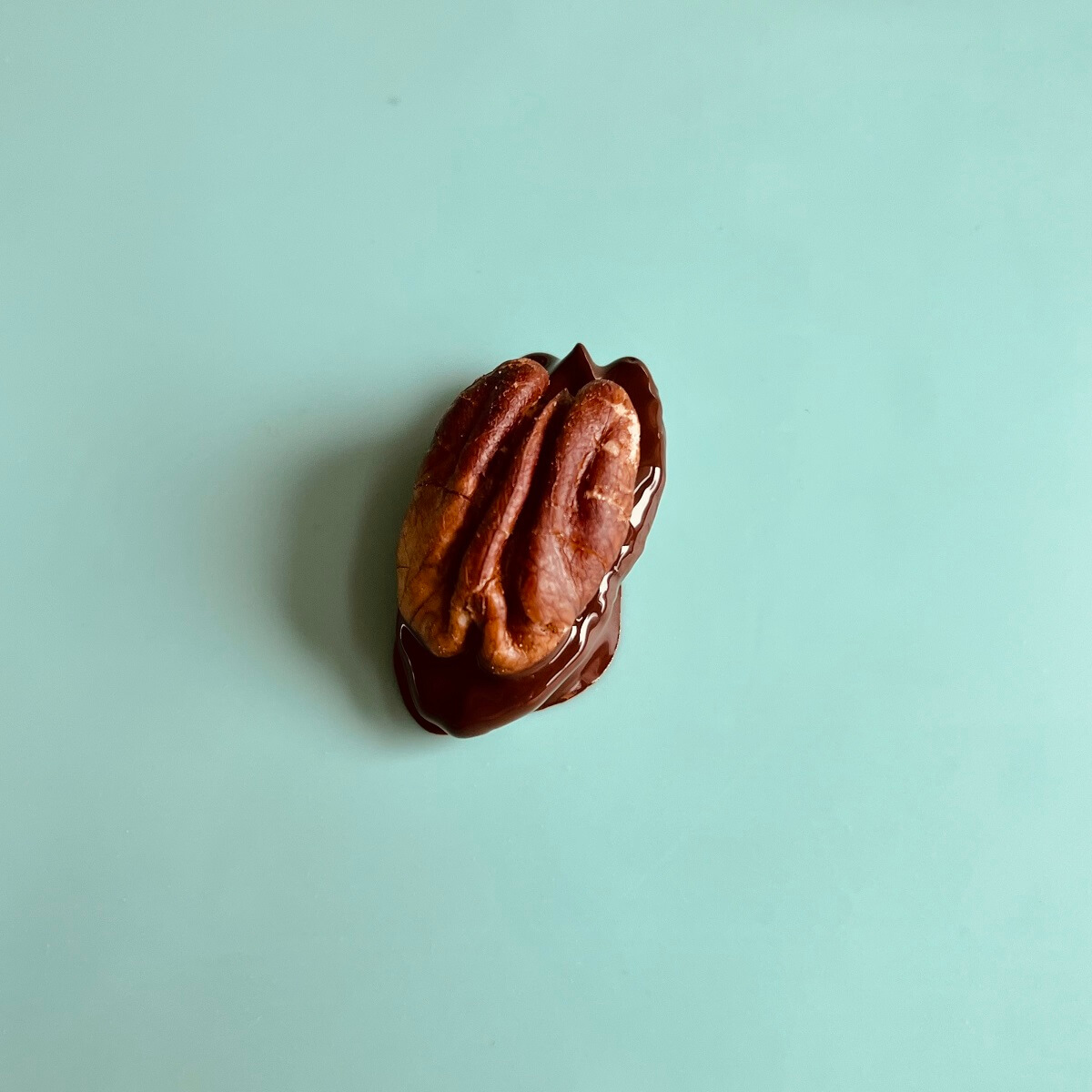 A chocolate covered pecan on a silicone baking mat.