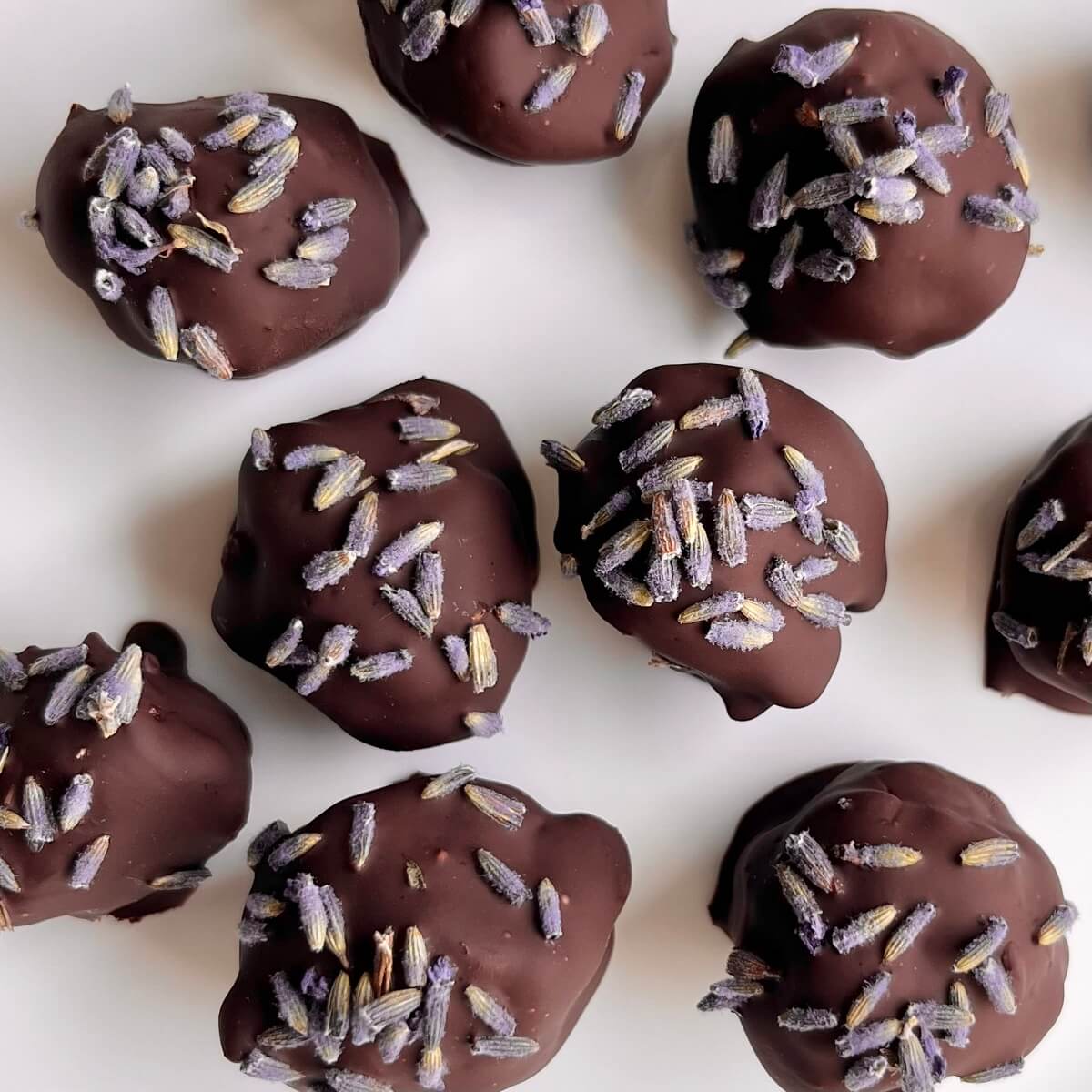 Lavender truffles on a white plate.