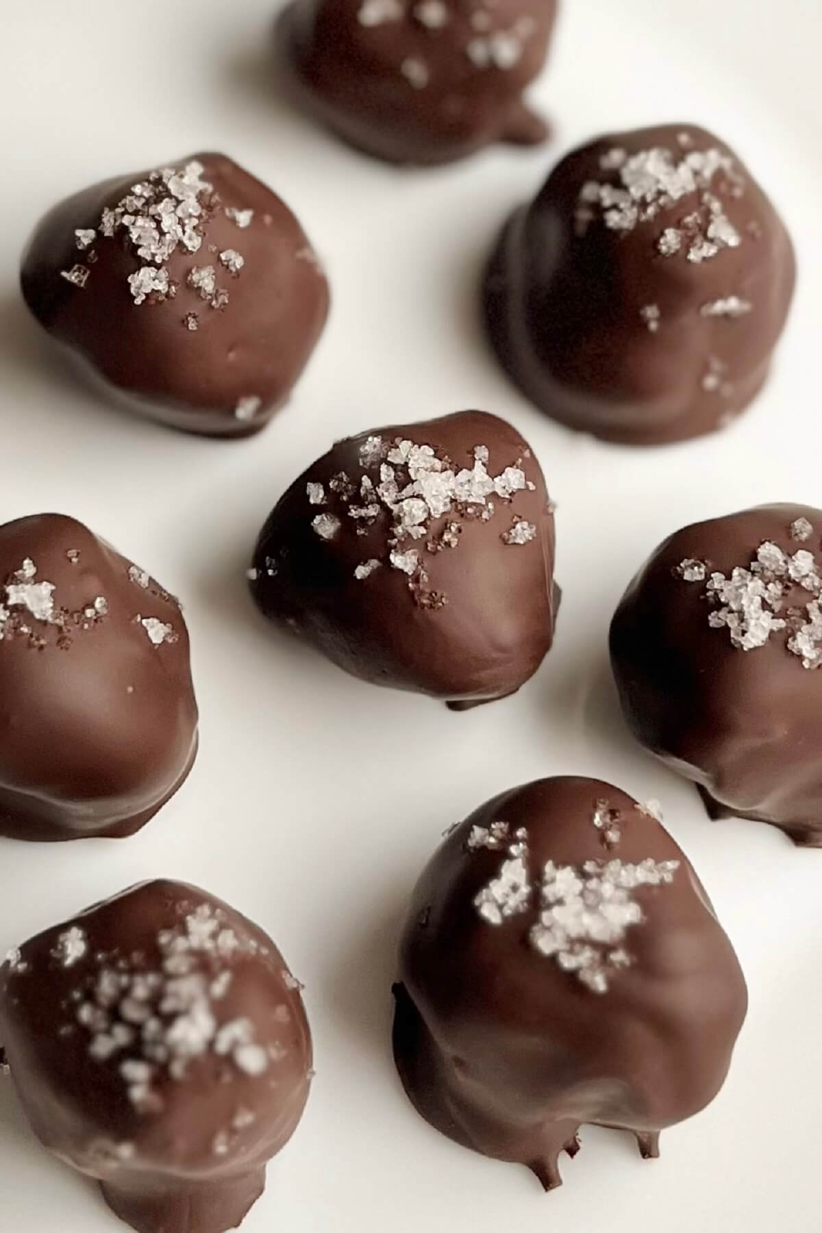Chocolate olive oil truffles on a white plate.