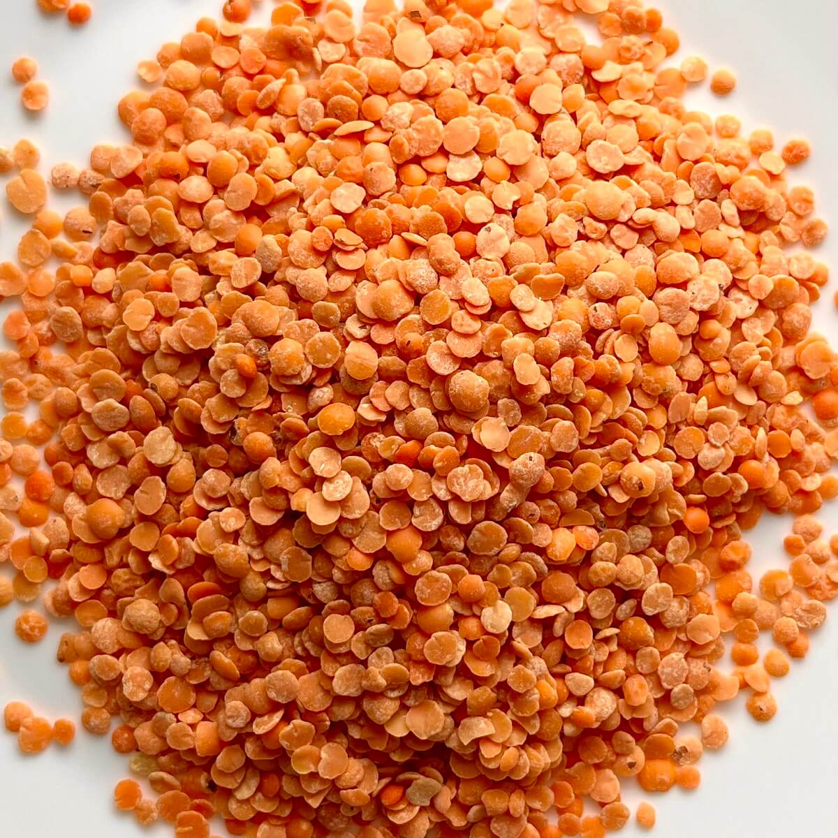 A pile of dried lentils.
