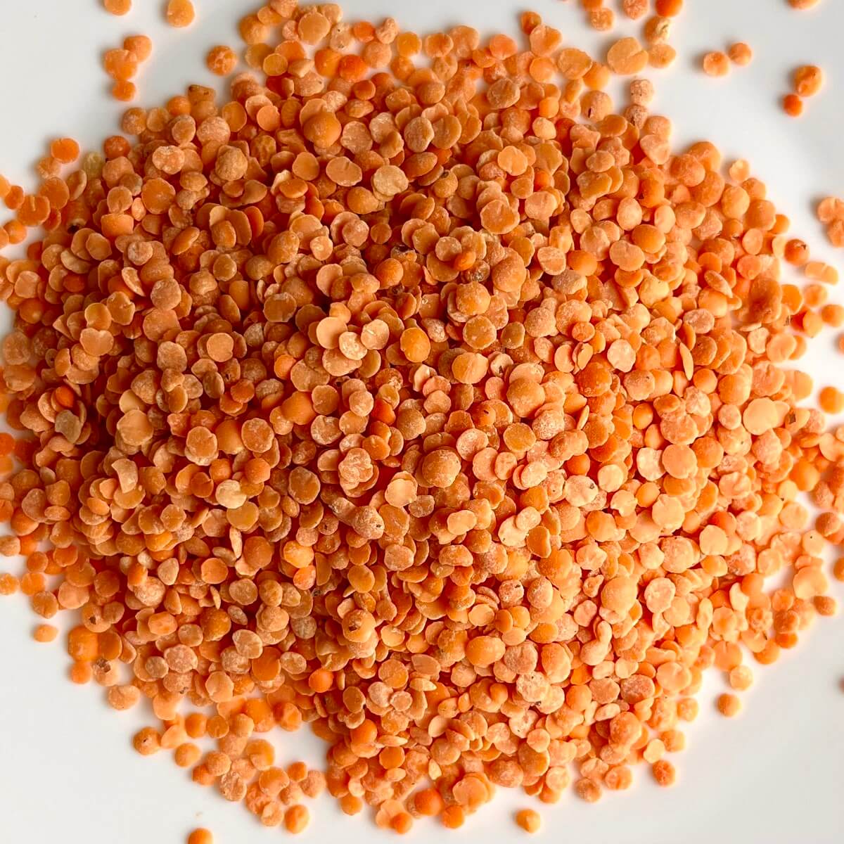 A pile of dried red lentils on a white plate.