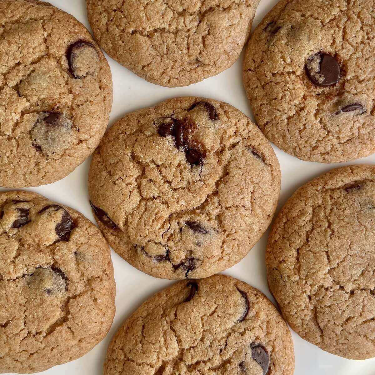 Dairy-free chocolate chip cookies on a white plate.