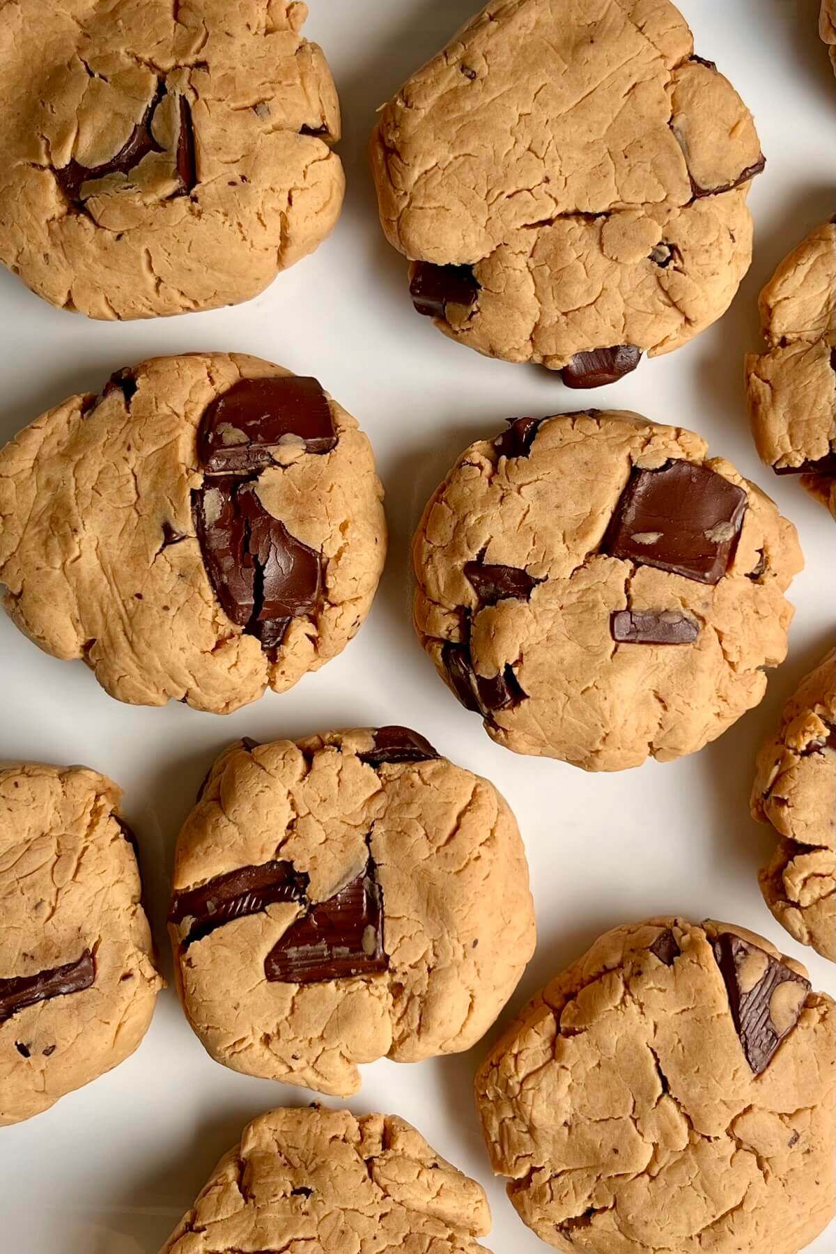 Cookies made with pea protein powder on a white plate.