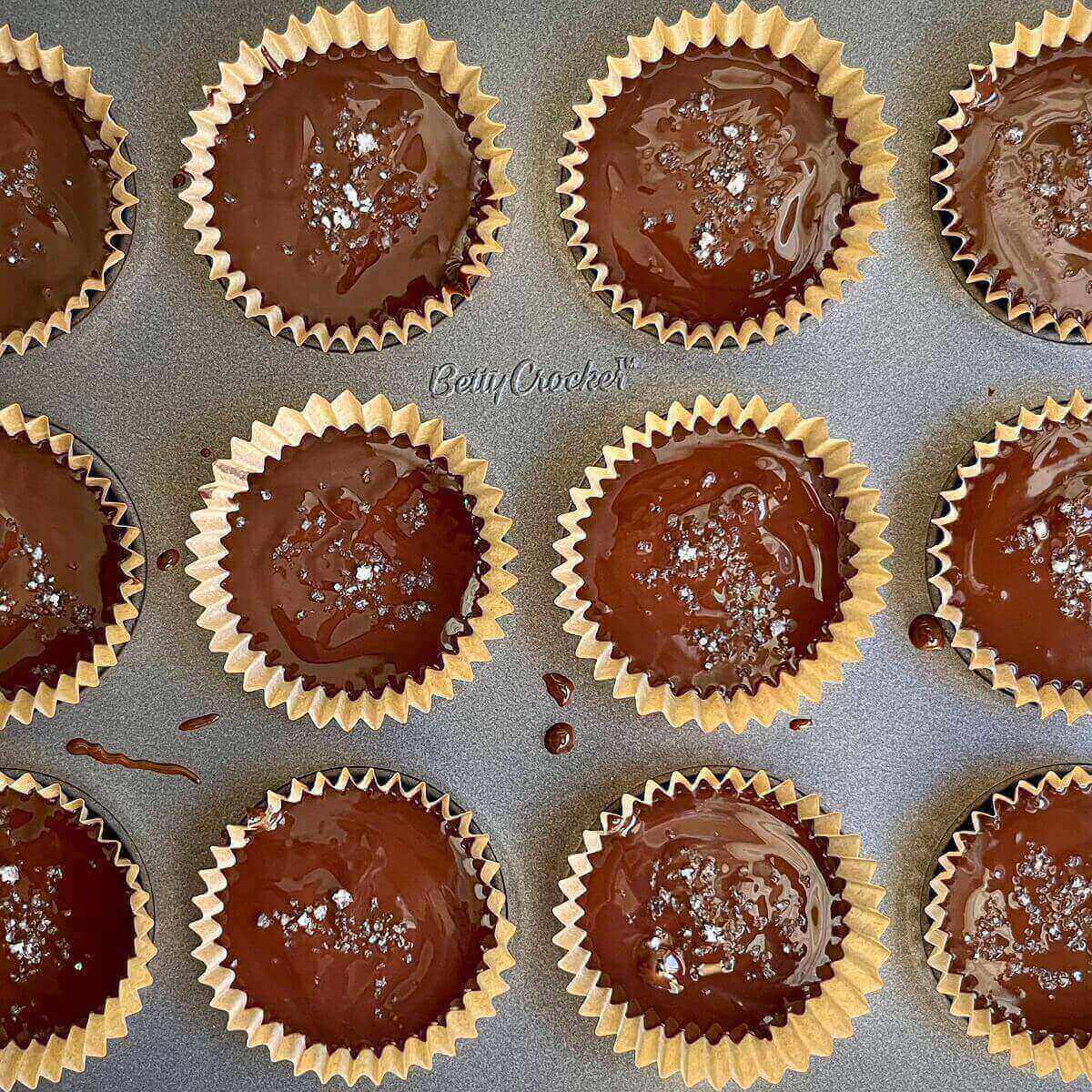 Salted sunflower cups in a mini muffin pan.