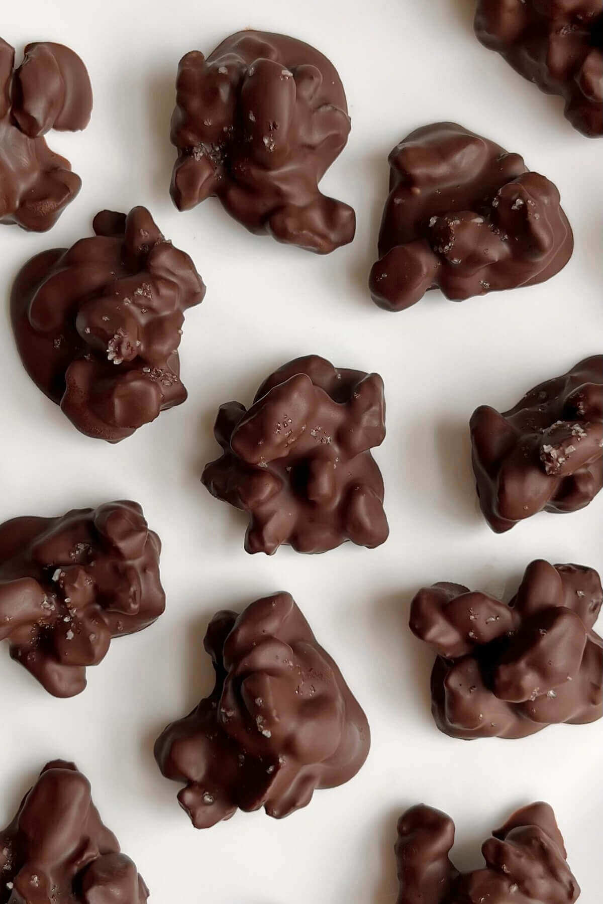 Clusters of raisins and dark chocolate on a white plate.