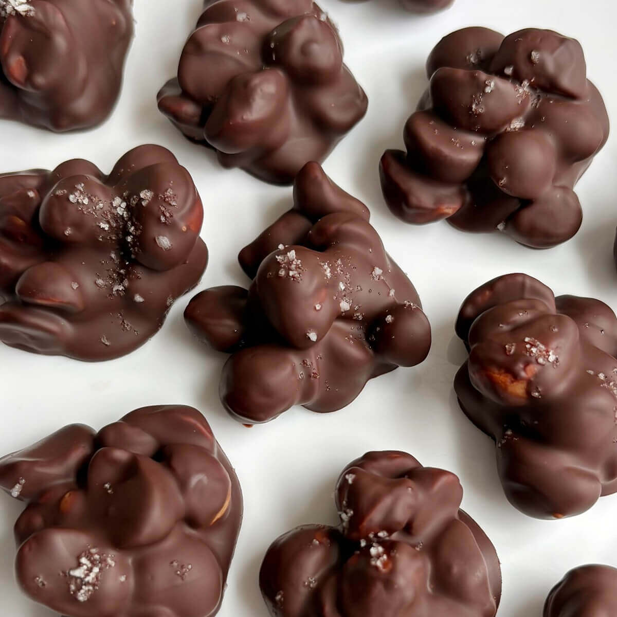 Chocolate covered macadamia nuts on a white plate.