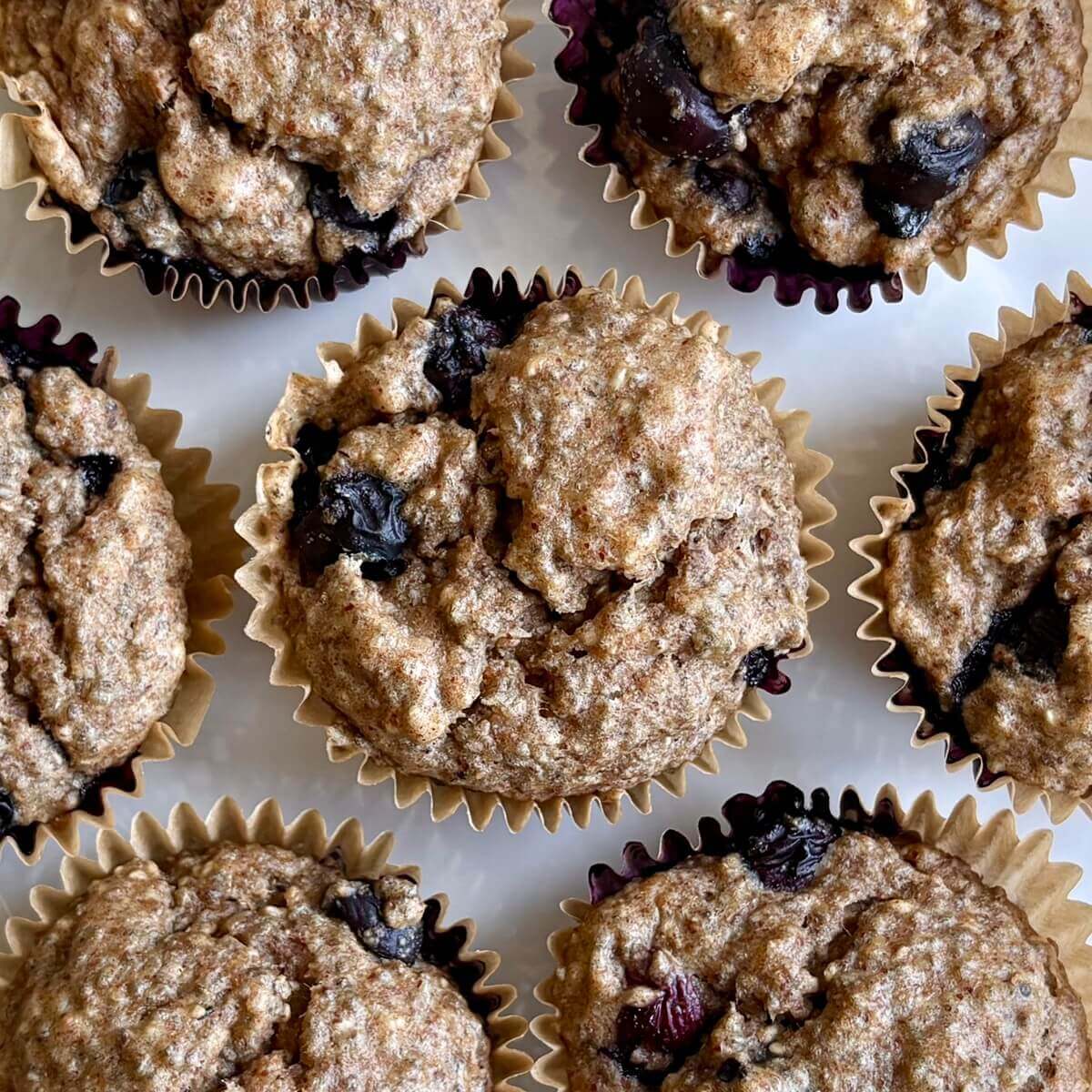 Chia seed muffins on a plate.
