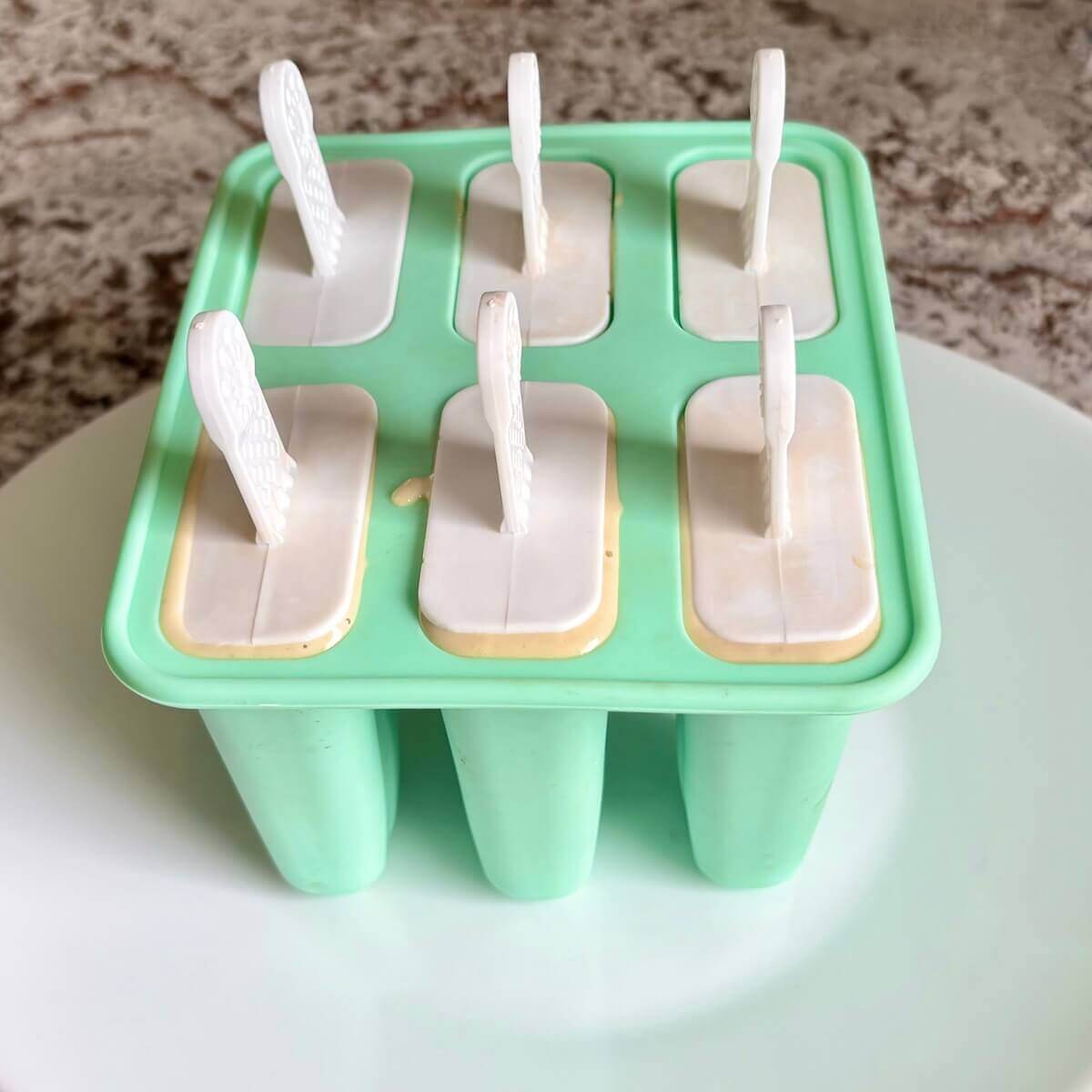 A popsicle mold on a white plate.